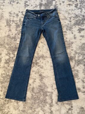 Silver Jeans Dark Blue Flare Jeans